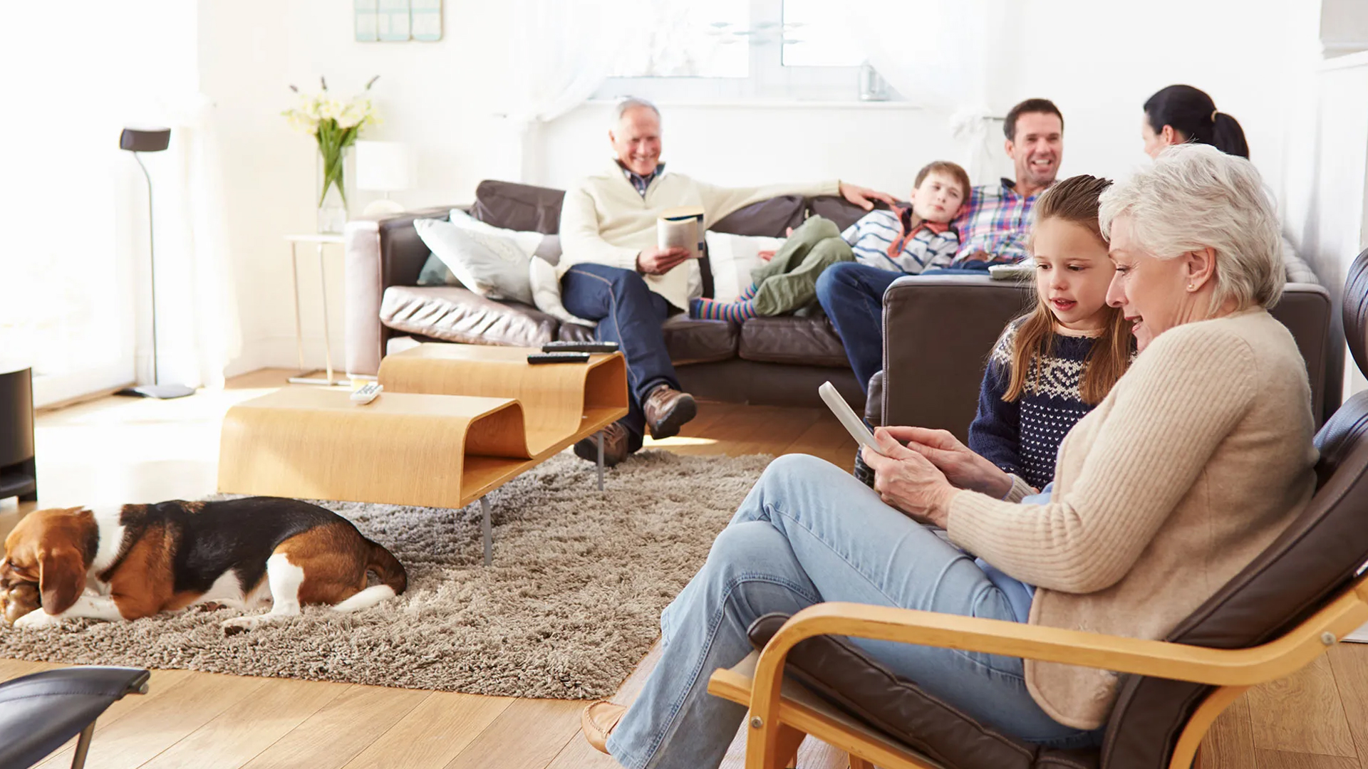 Senior Citizen Programs